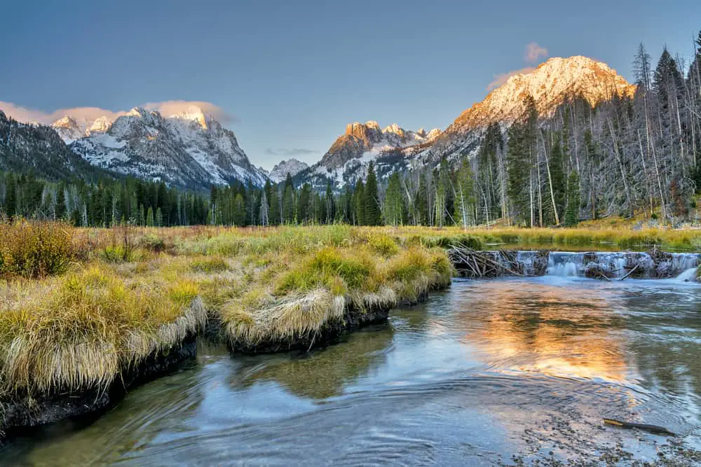 This is a landscape scenery showcasing the Idaho mountains, forests and a beaver dam.