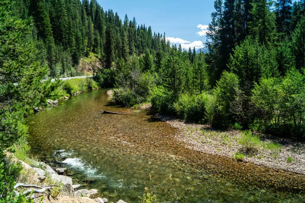 This is a view of the Lostine River in Oregon's Wallowa-Whitman National Forest.