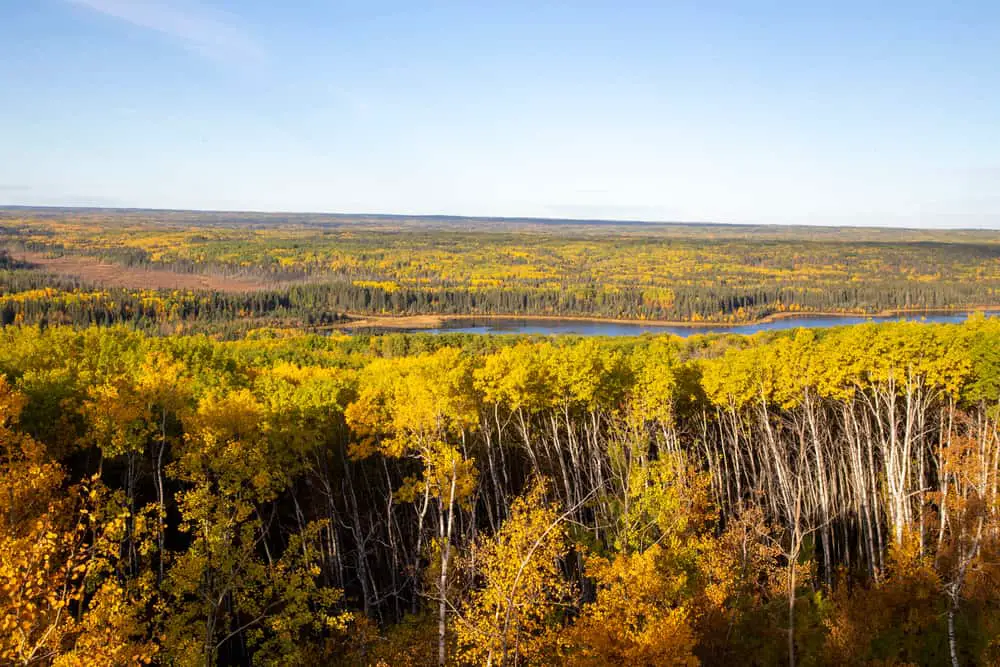 This is an aerial view of the Prince Albert National park during fall.