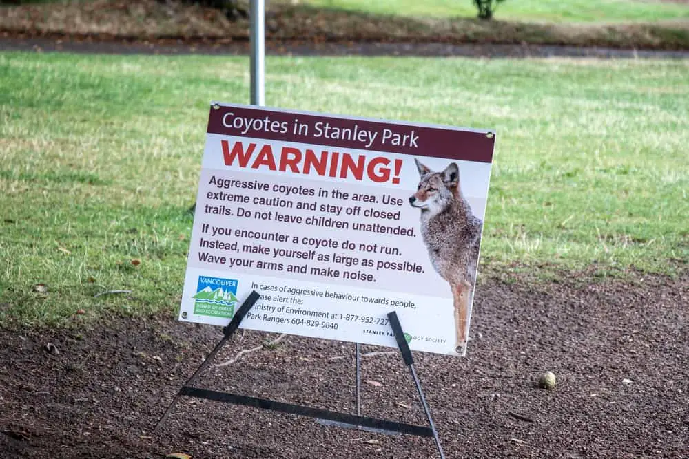 This is a coyote warning signage in Stanley Park.