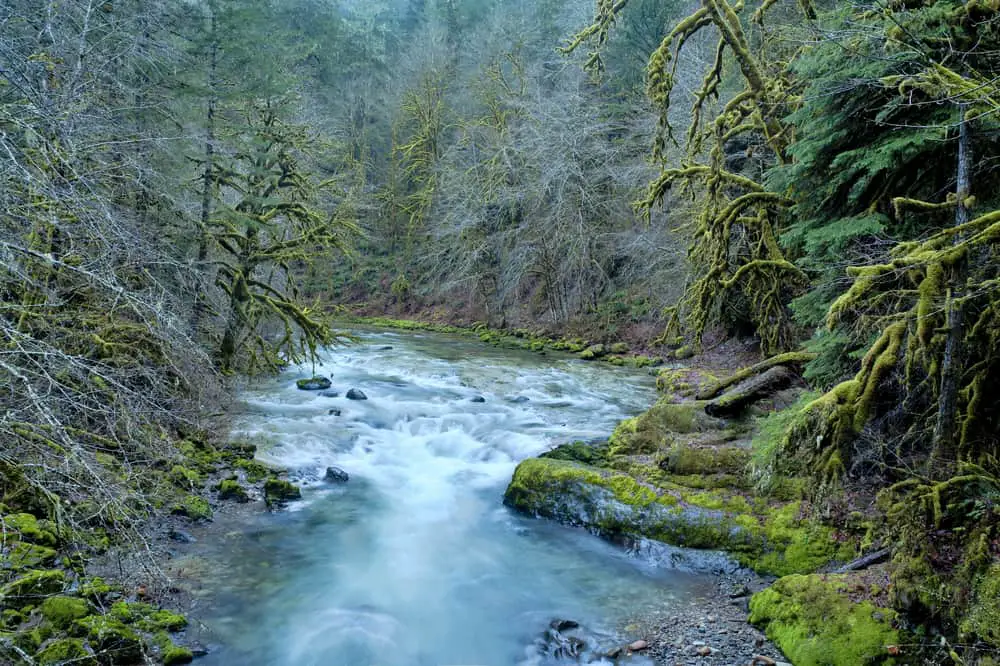 This is a view of the river inside the Santiam National Park.