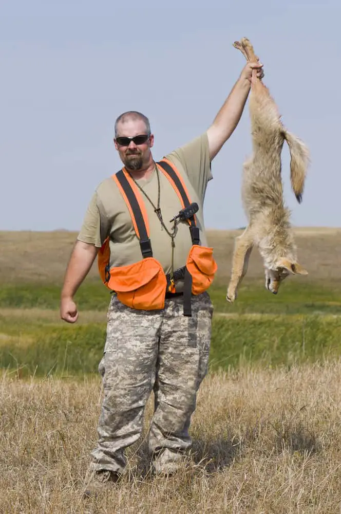 The hunter holds the coyote game he killed.