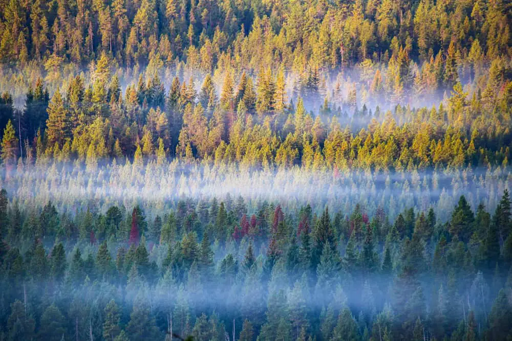 This is an aerial view of the Deschutes National Forest near Bend, Oregon.