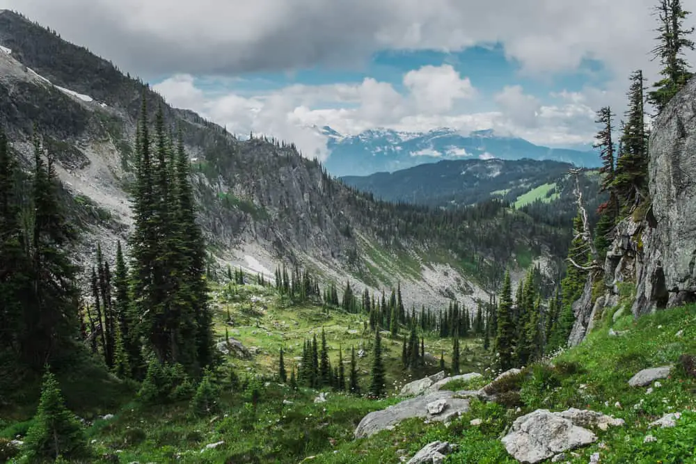 This is the Revelstoke National Park with a large boreal forest.