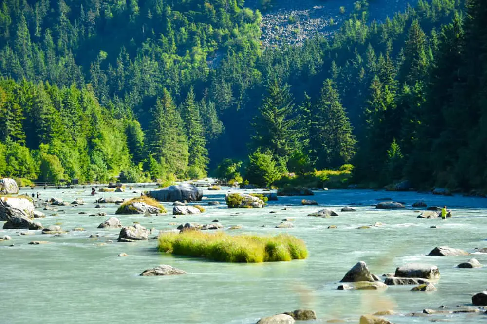 This is a landscape of Haines State Forest with a view of the river.