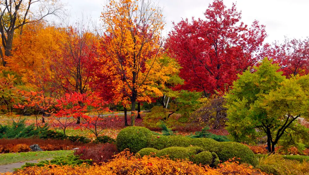 This is a view of the wilderness park in Quebec, Canada during autumn.