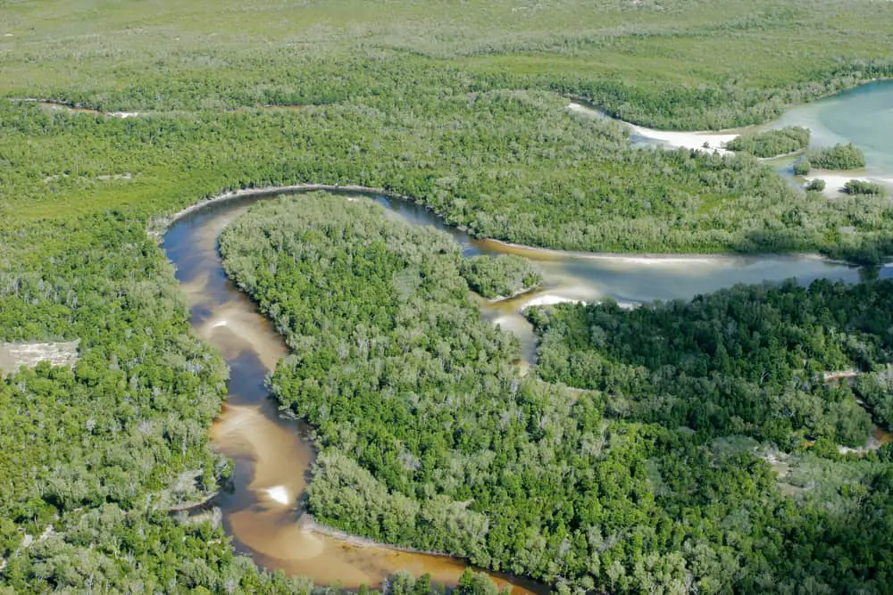 This is an aerial view of the coastal forest in Mozambique, Africa.