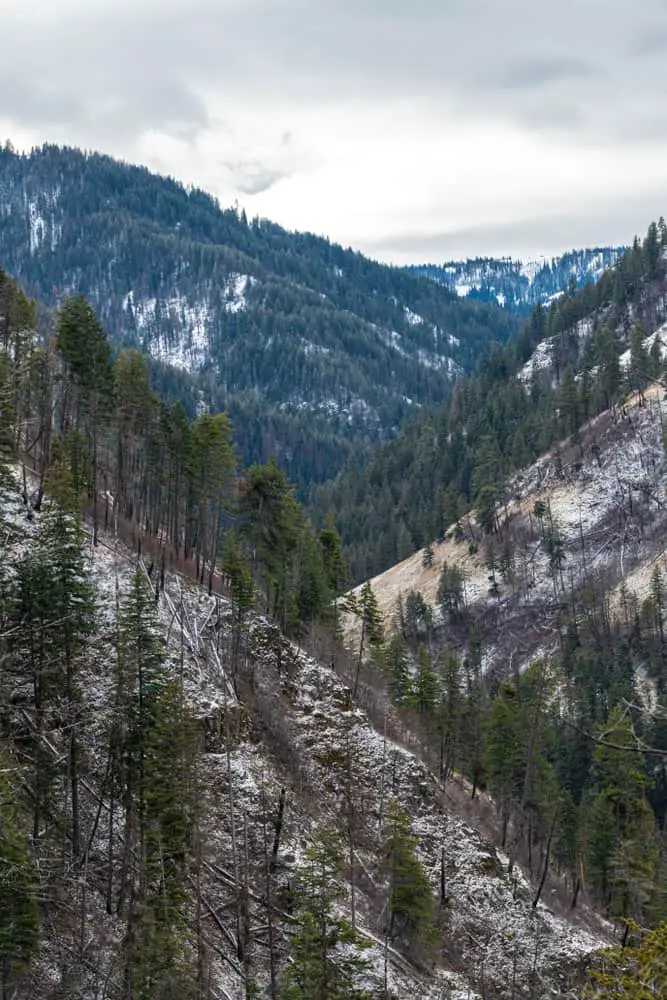 This is an aerial view of the Umatilla State National Forest park.