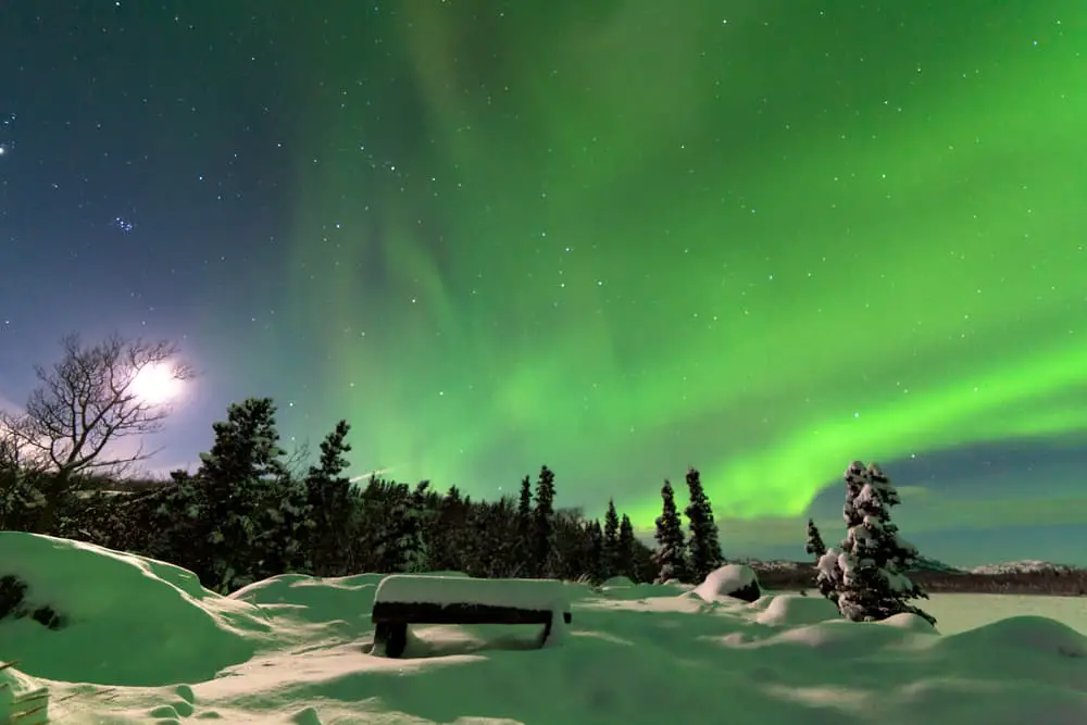 Magical  Northern Lights display over snowy bench at the edge of boreal forest taiga of Yukon Territory.