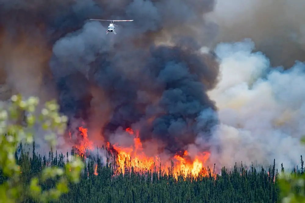 Wild forest fire in Yukon.
