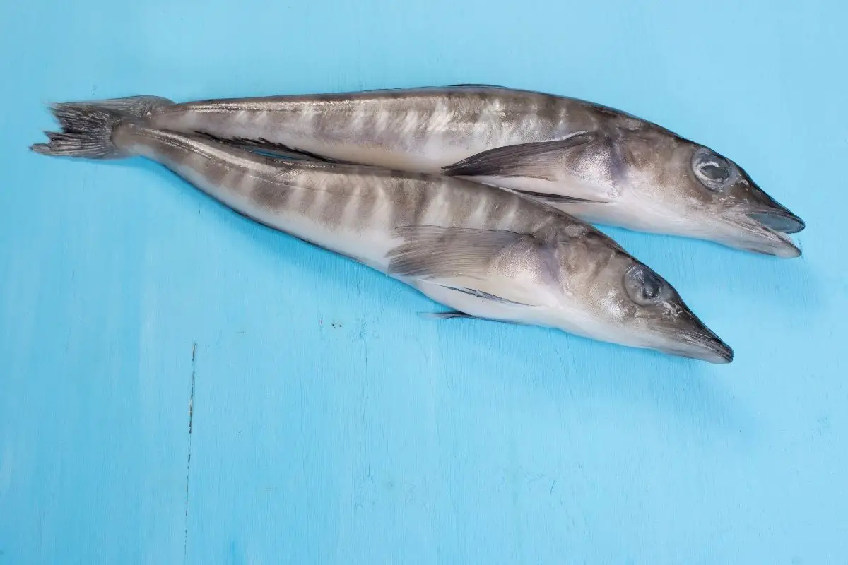 A close up of raw icefish.