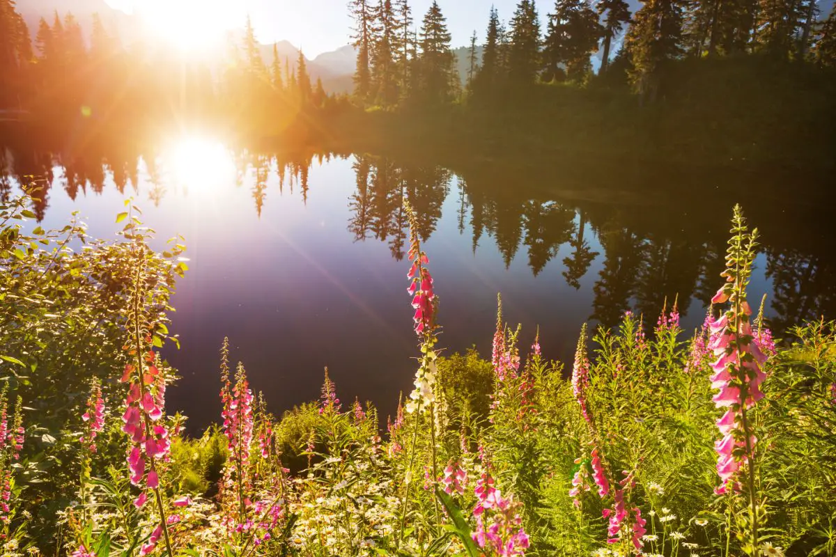 A stunning photo of a beautiful lake with sunstrike.