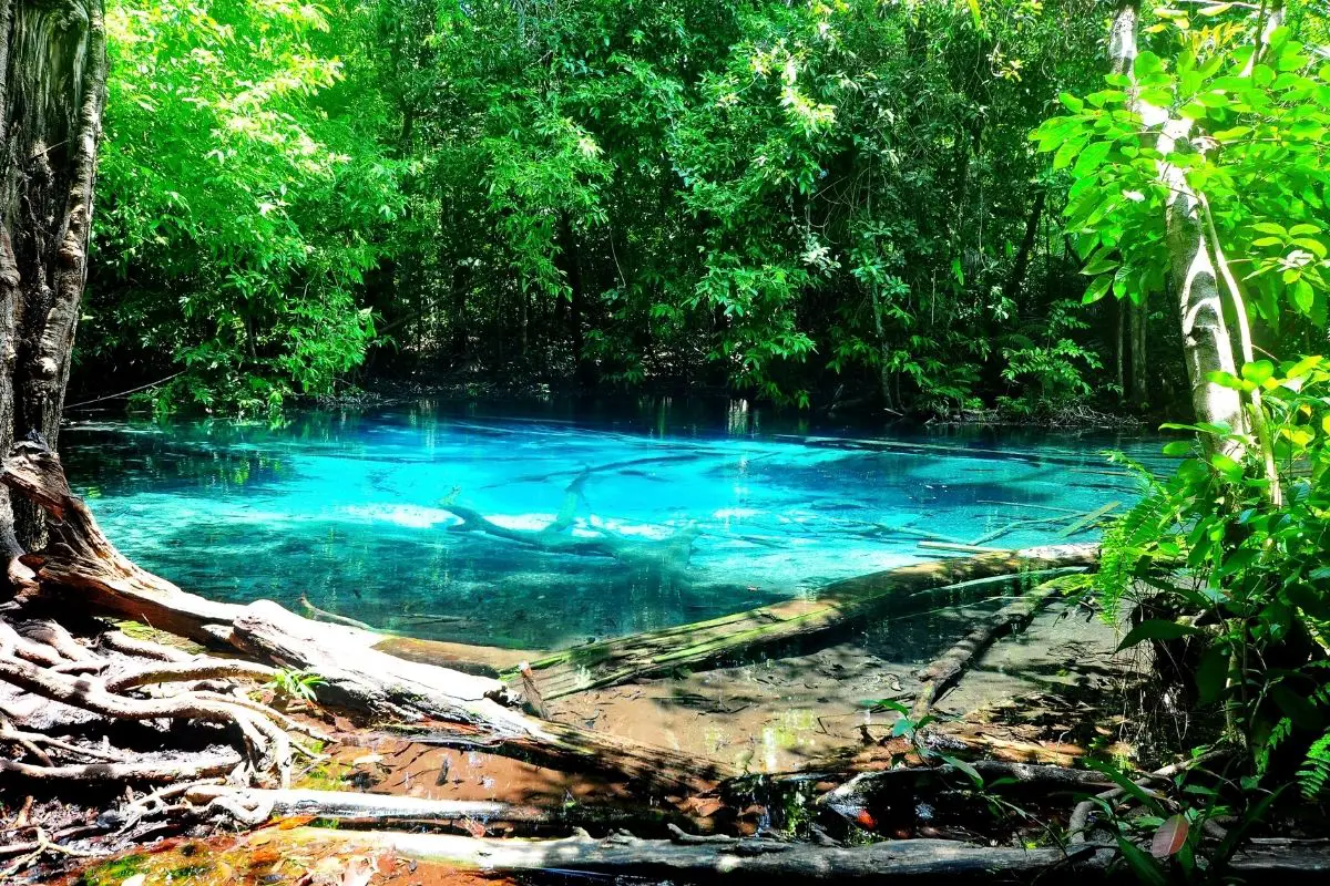 Naturally clear blue spring.