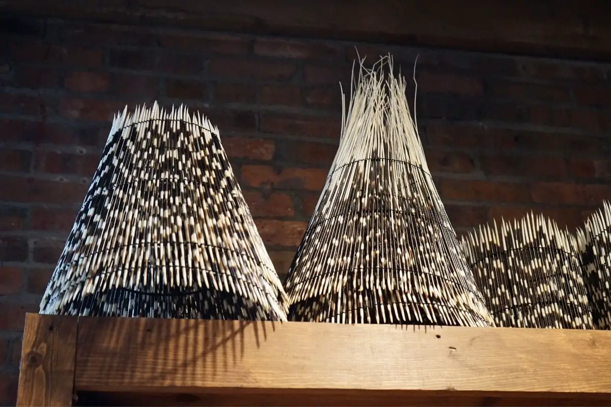 Lampshades made of porcupine quills.