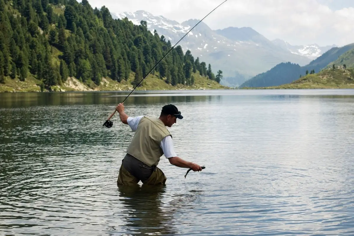 Fly-fisher catching a trout in a mountain lake.