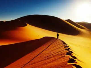 Sand dune climbing at sunrise.