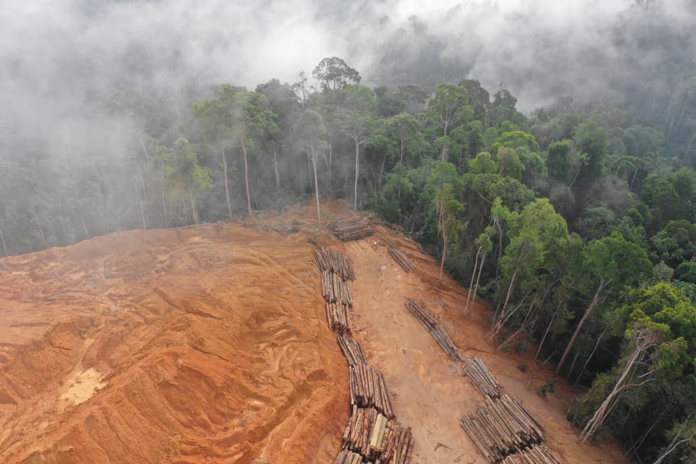 This is an aerial view of a portion of the forest with deforestation.