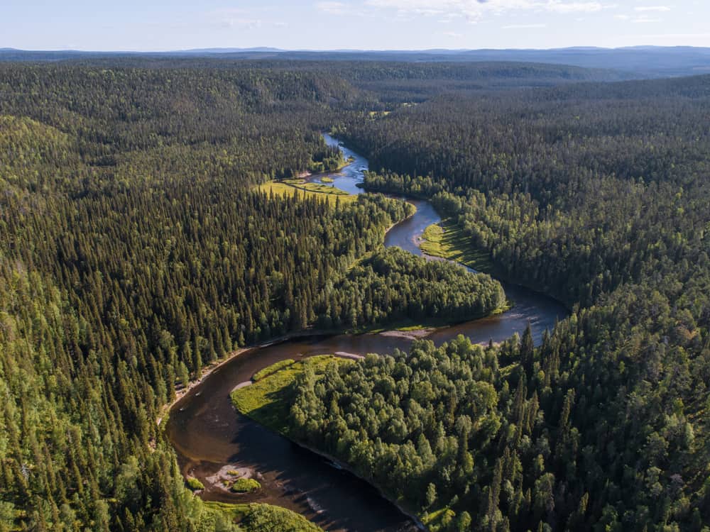 This is an aerial view of a vast boreal forest.