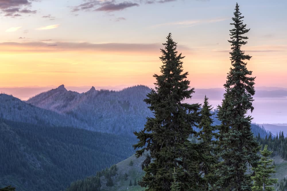 This is a sunset view of Unicorn Peak in Olympic National Park.