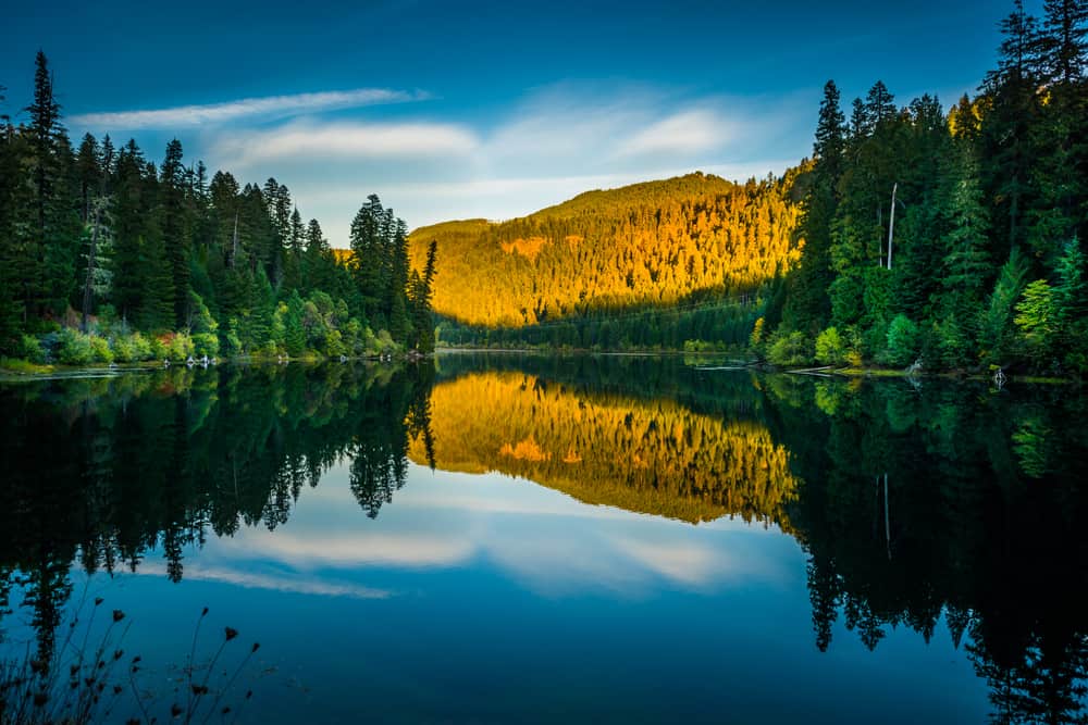 This is a sunset view of the Umpqua river surrounded by the national forest park.