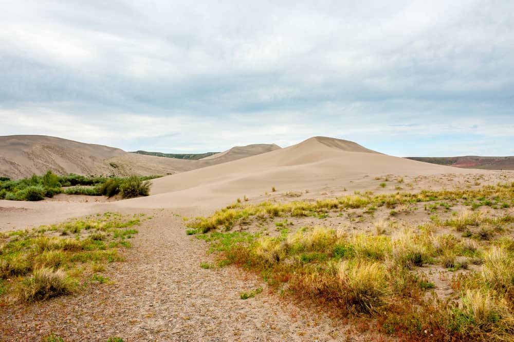 This is a view of the Bruneau Dunes State Park in Idaho.