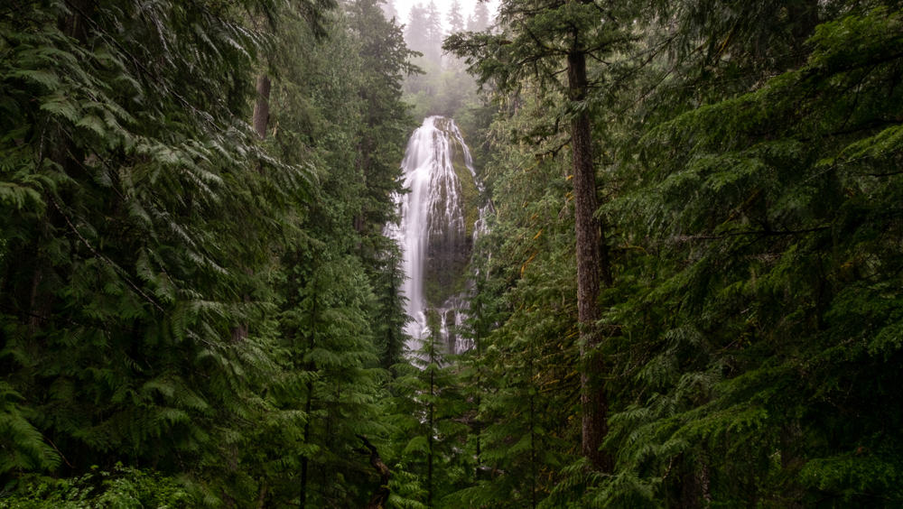 This is a view of the Proxy falls at Willamette National Forest in Oregon.