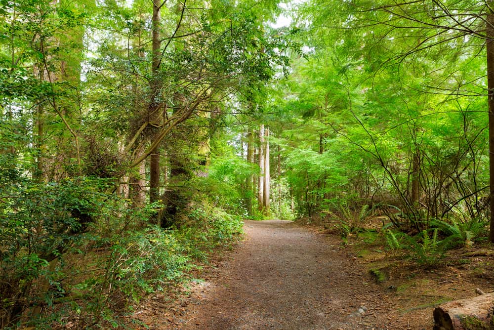 This is a view of the Hiking trail at Fort Clatsop National Park.