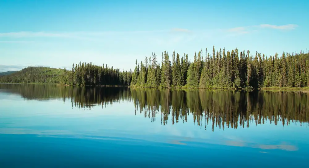 This is a view of a calm lake in Quebec lined with tall trees.