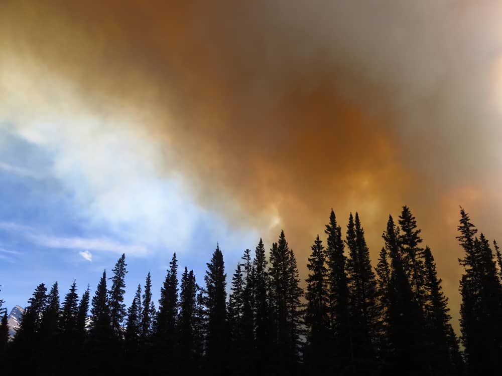 This is a forest fire inside Banff National Park in Canada.
