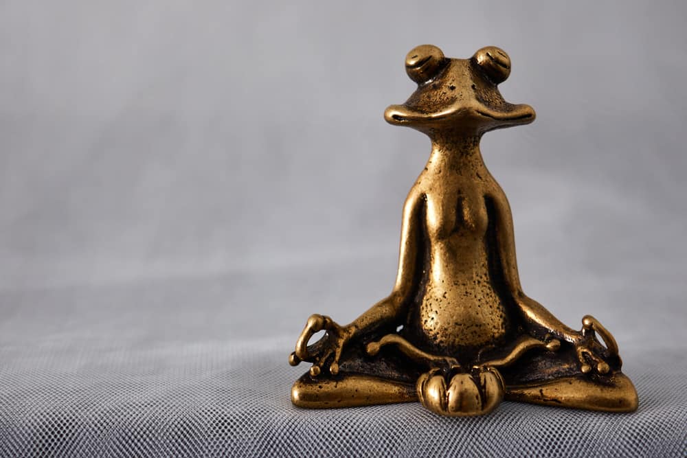 This is a close look at a frog figurine sitting in a lotus position meditating.