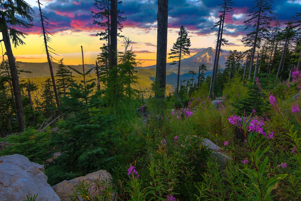 This is a view of Mt. Hood national forest park on a bright and colorful sunset.