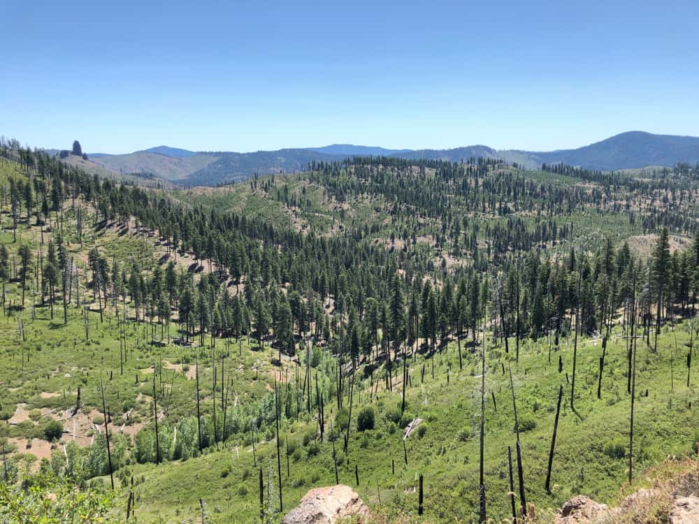 This is an aerial view of the Ochoco National Forest and Stein's Pillar.
