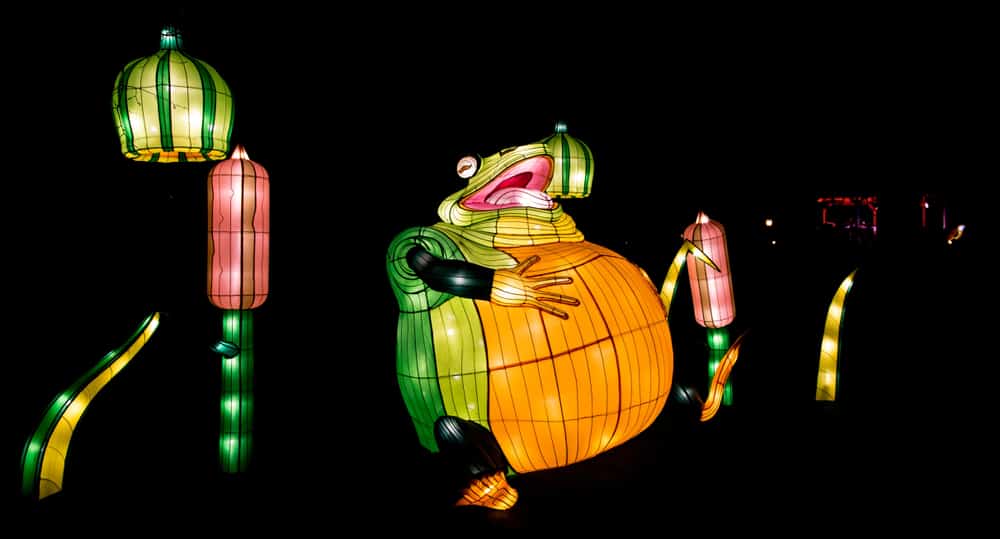 This is an Australian Aboriginal frog lantern during one of their festivals.