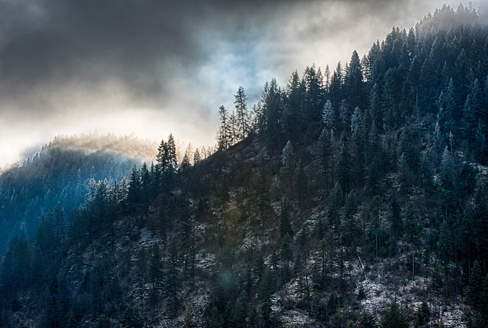 This is a view of the Idaho Panhandle National Forest on a foggy morning.