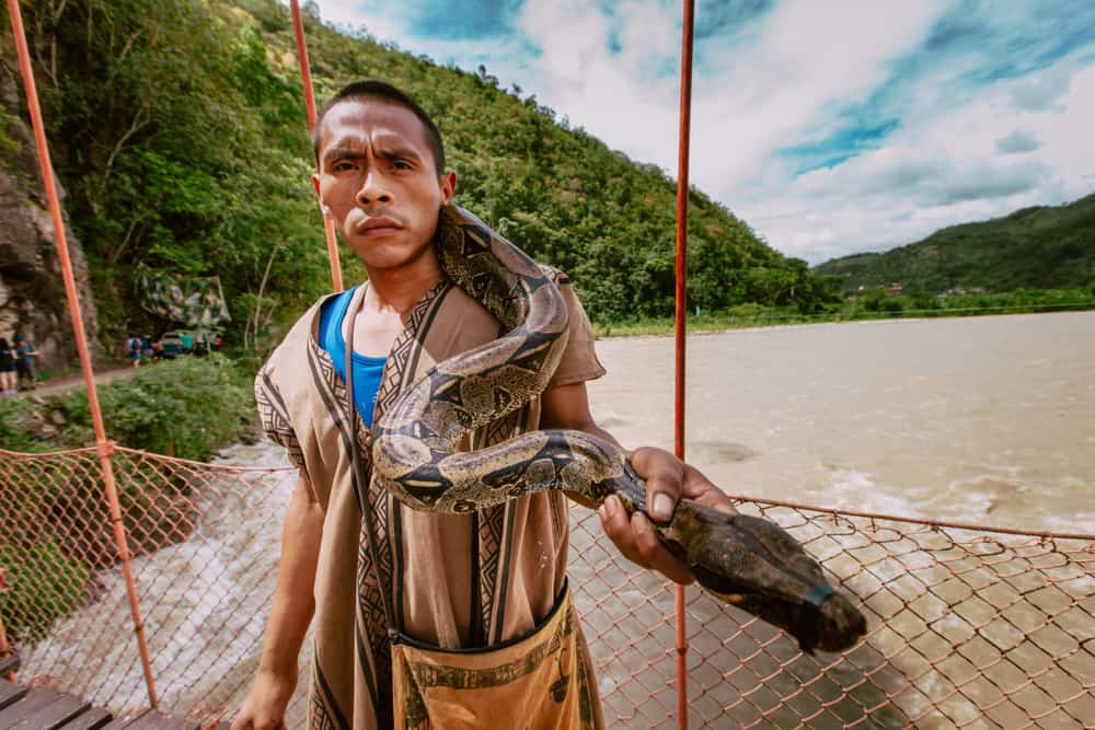 This is a man from Peru carrying an anaconda over the river.