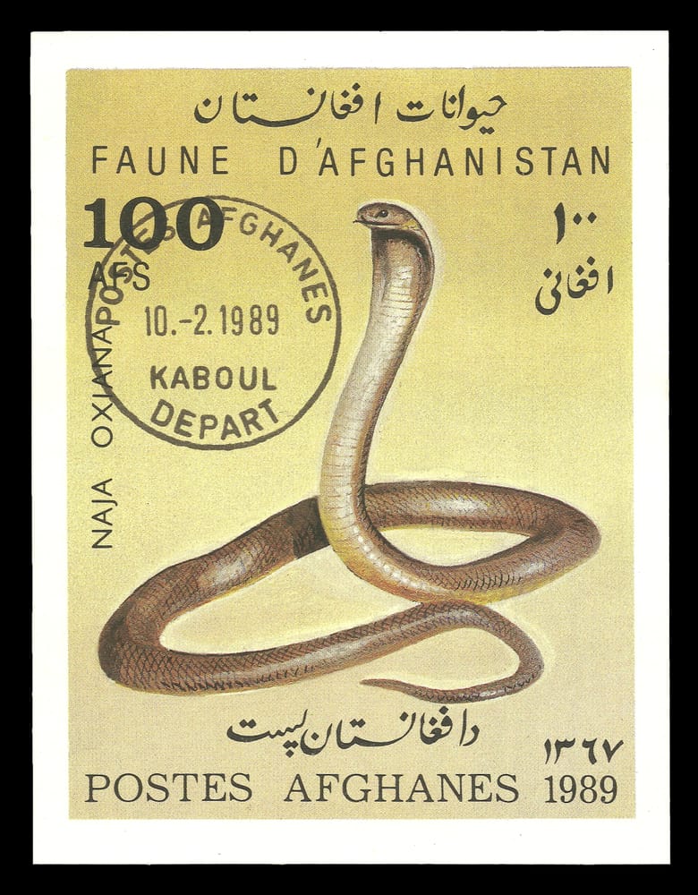 The Caspian Cobra in the Afghanistan postage stamp.