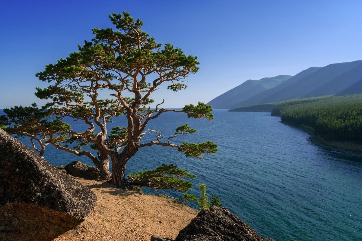 View of baikal from the cliff.