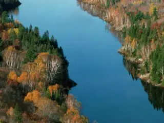Snakeskin lake Ontario.