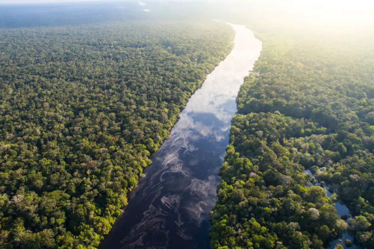 An aerial view of Amazon river in Brazil.
