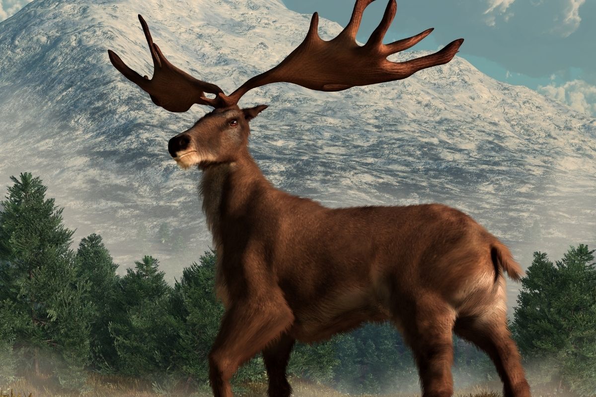 An enhanced photo of Irish elk on a hillside.