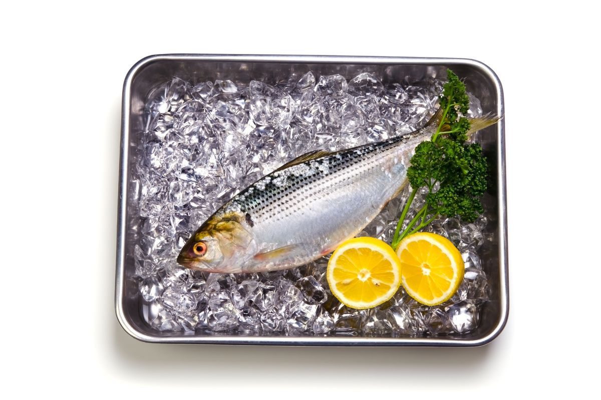 Thread shad preserved with ice and  lemons.