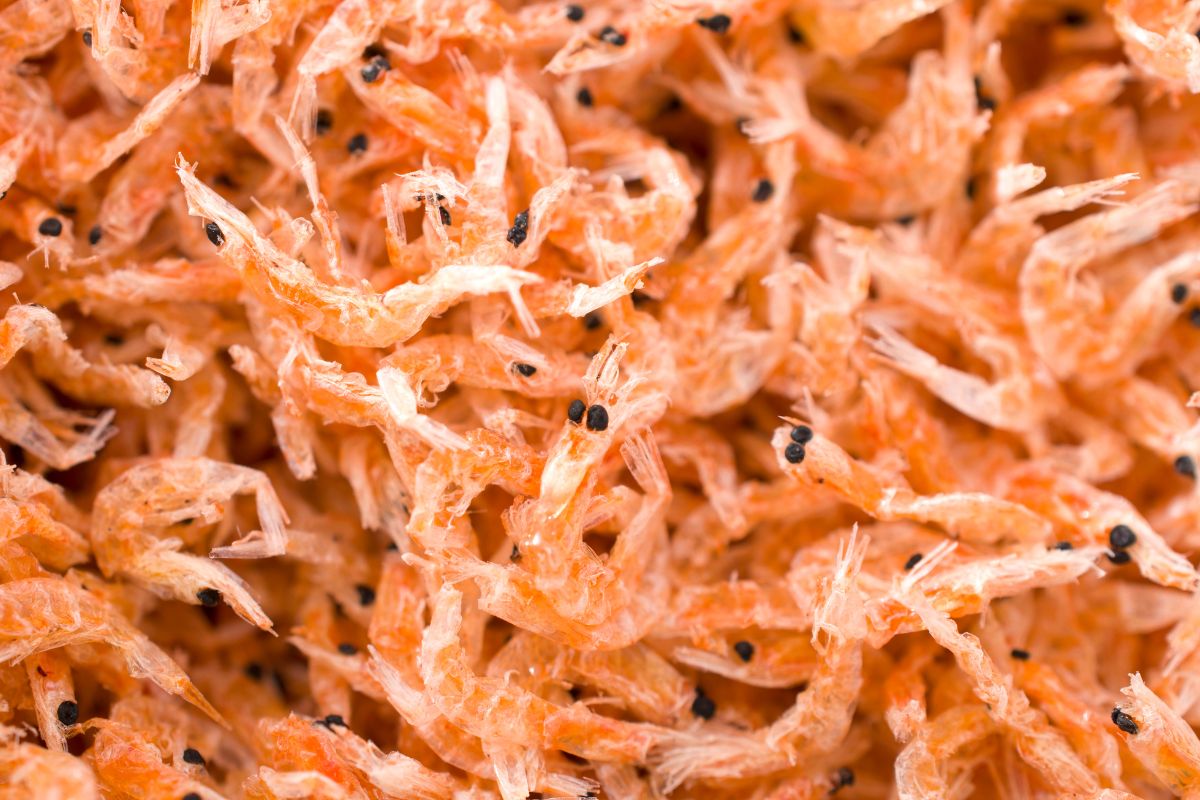 A close-up shot of dried krills.